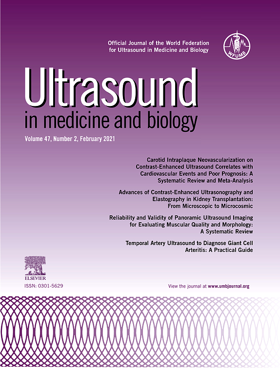 Ultrasound Arthroscopy of Human Knee Cartilage and Subchondral Bone in Vivo